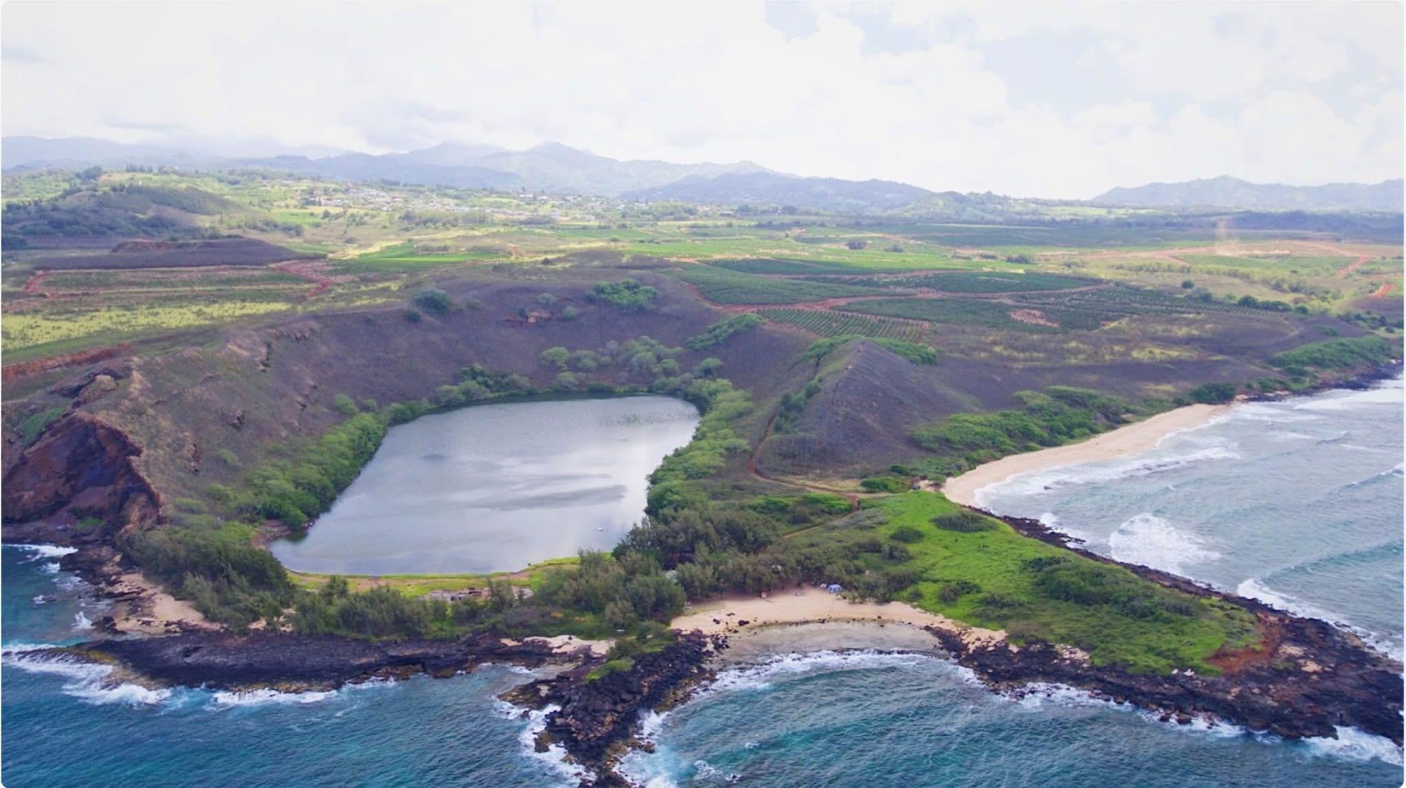 Nomilu Fishpond Aerial